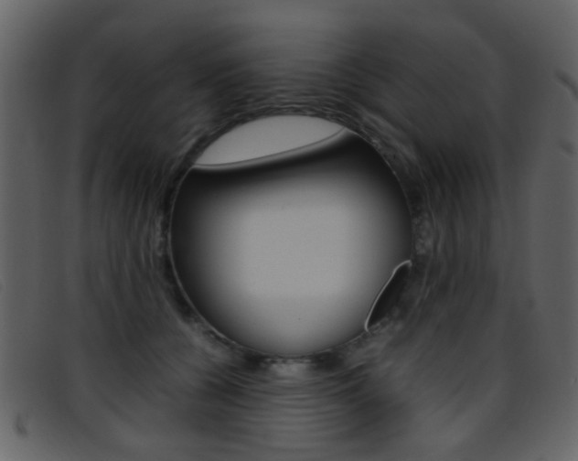 X0000096650560200802050936