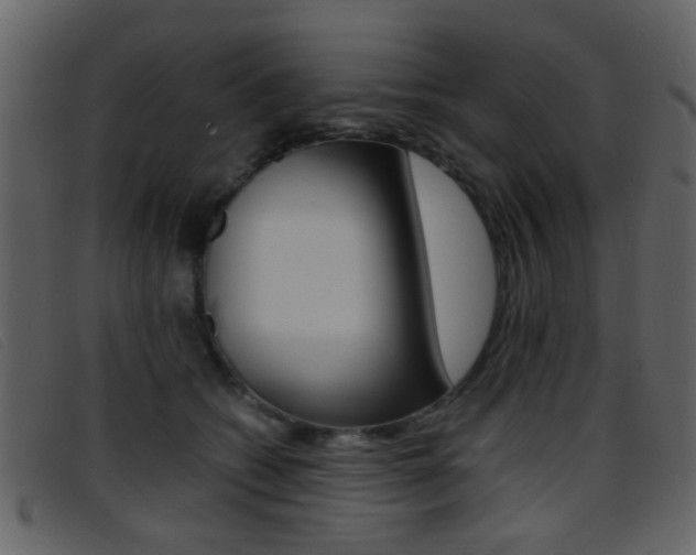 X0000096650562200802050936