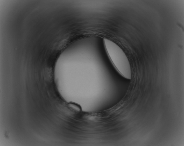 X0000096650563200802050936