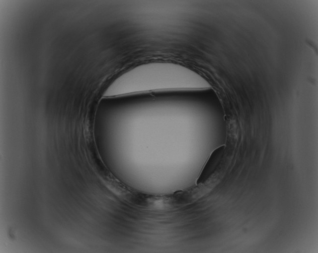 X0000096650564200802050936