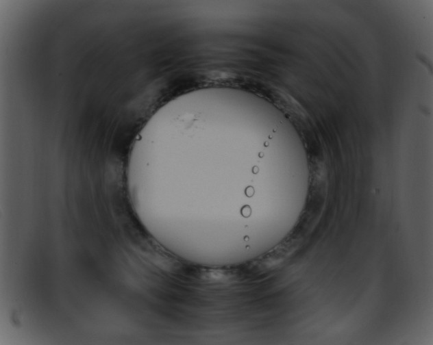X0000096650565200802050936