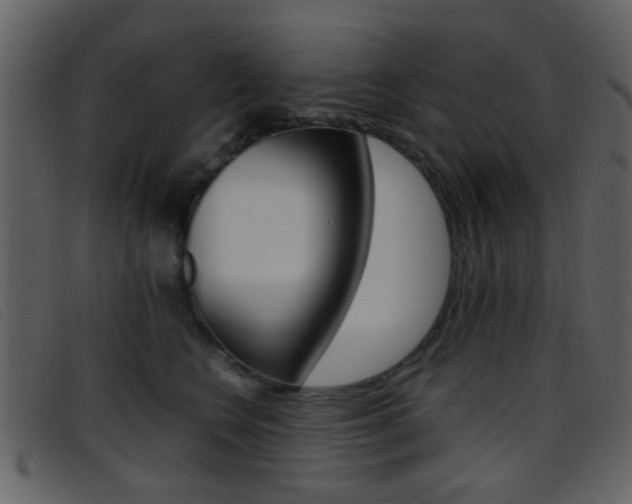 X0000096650566200802050936