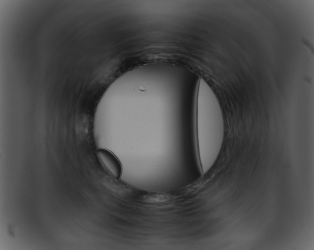 X0000096650567200802050936