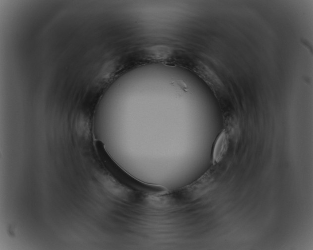 X0000096650568200802050936