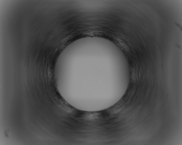 X0000096650569200802050936