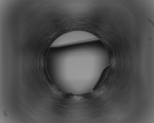 X0000096650570200802050936