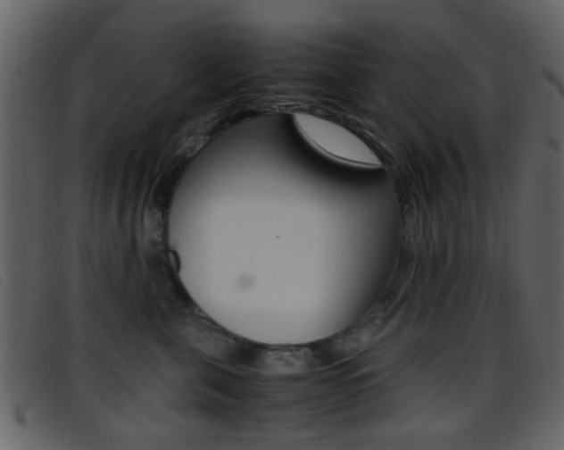 X0000096650571200802050936