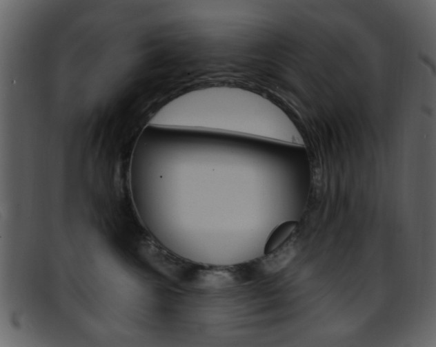 X0000096650572200802050936