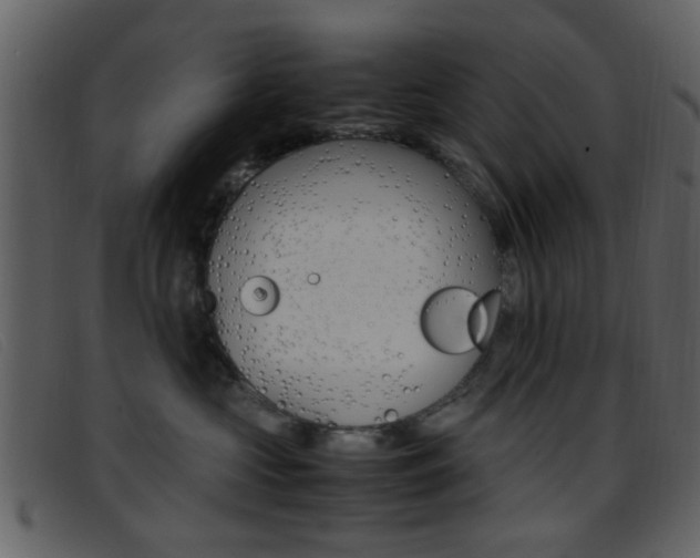 X0000096650573200802050936