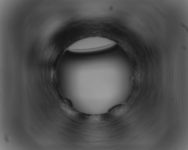 X0000096650574200802050936