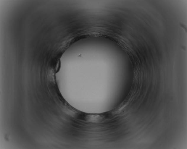 X0000096650575200802050936