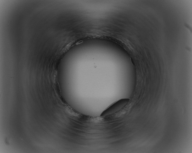 X0000096650576200802050937
