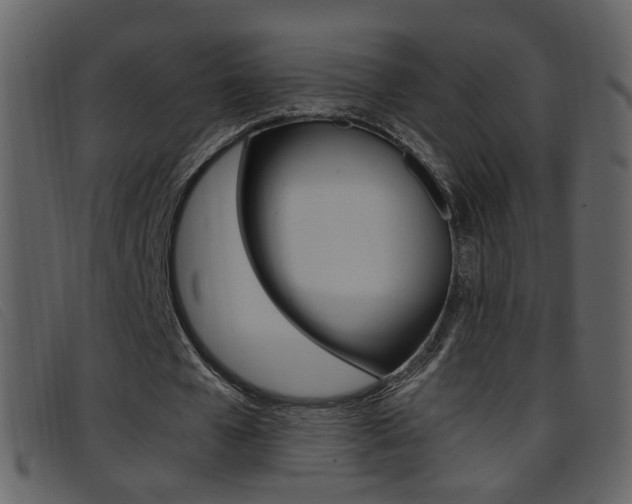 X0000096650577200802050936