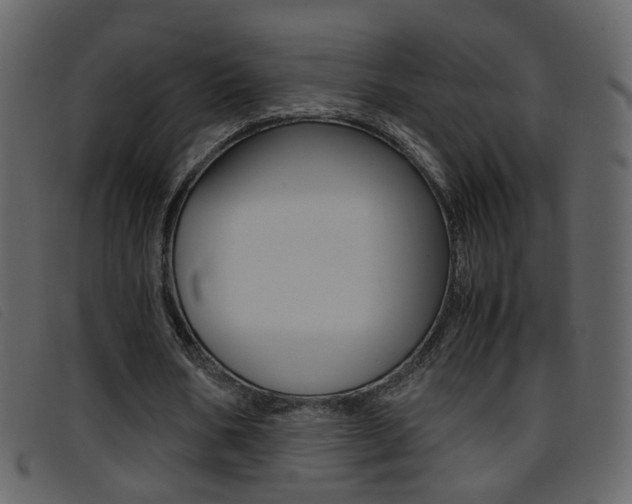 X0000096650578200802050936