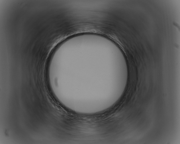 X0000096650579200802050936