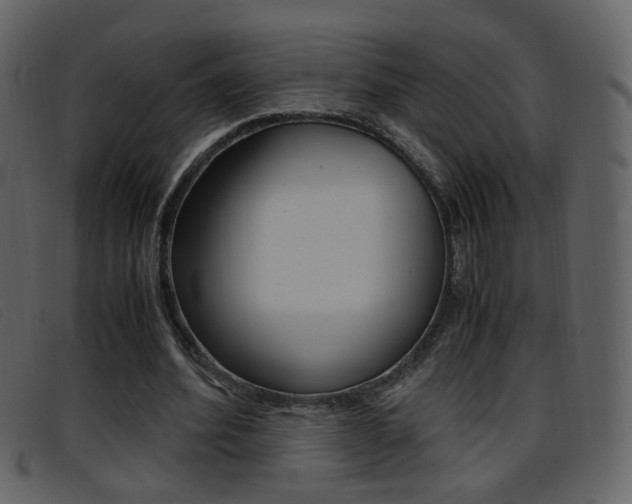 X0000096650580200802050936