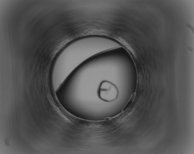 X0000096650581200802050936