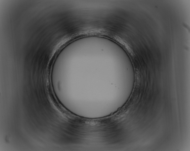 X0000096650582200802050936