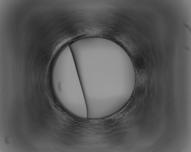 X0000096650583200802050936
