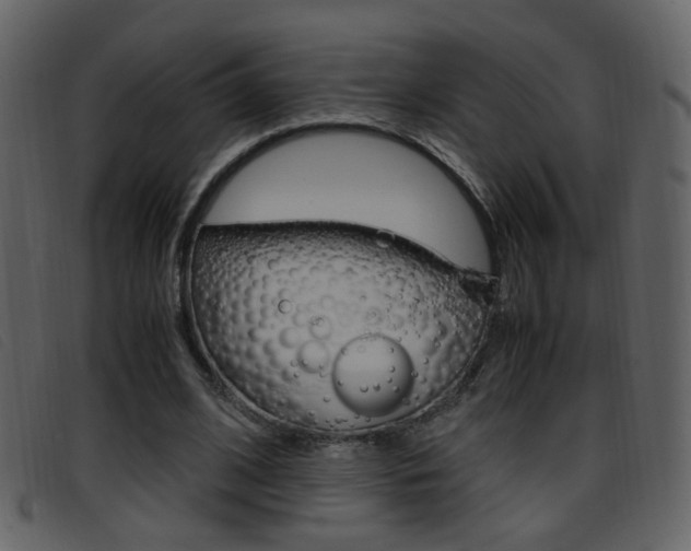 X0000096650584200802050936