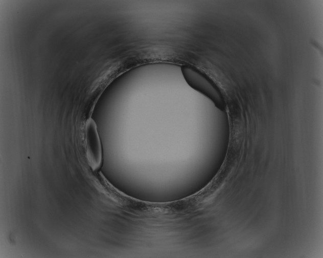 X0000096650585200802050936