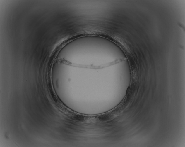 X0000096650587200802050936