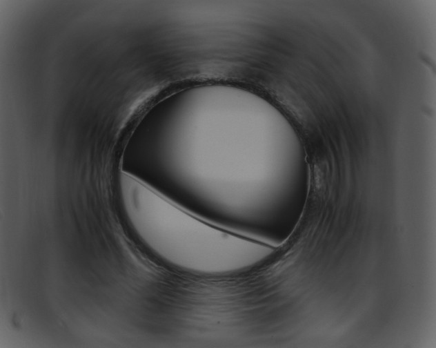 X0000096650588200802050936