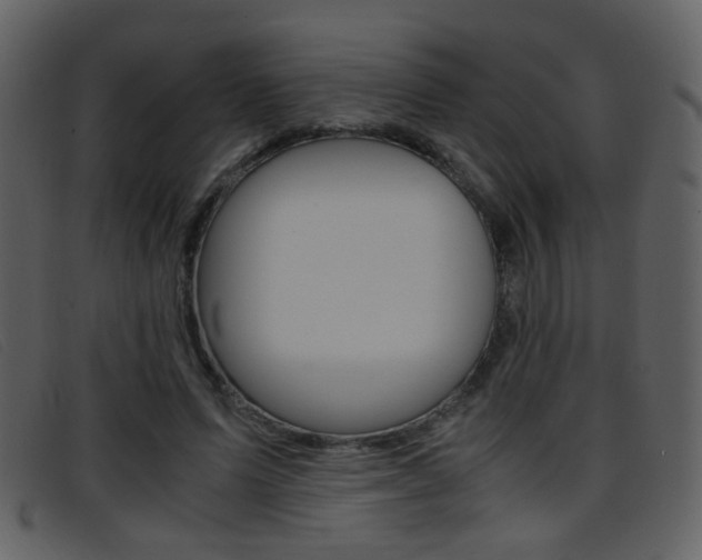 X0000096650591200802050935