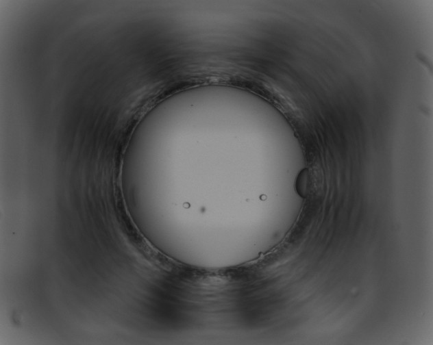 X0000096650594200802050935