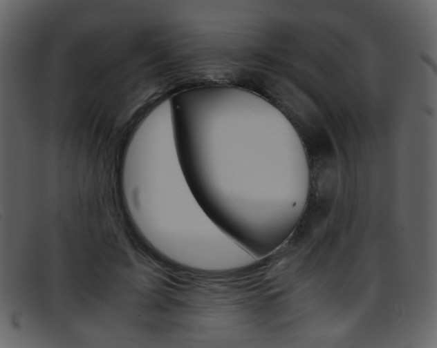 X0000096650595200802050935