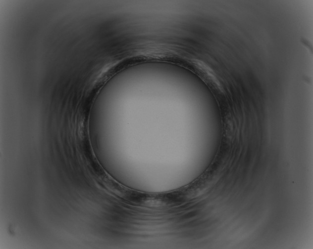 X0000096650596200802050935