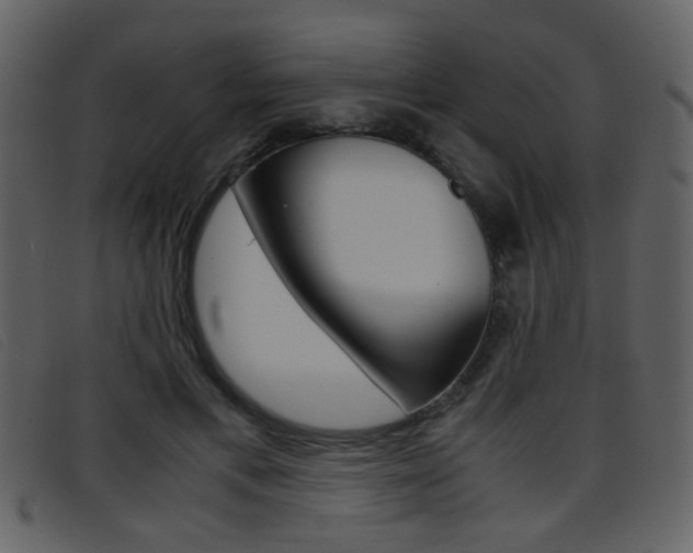 X0000096650597200802050935