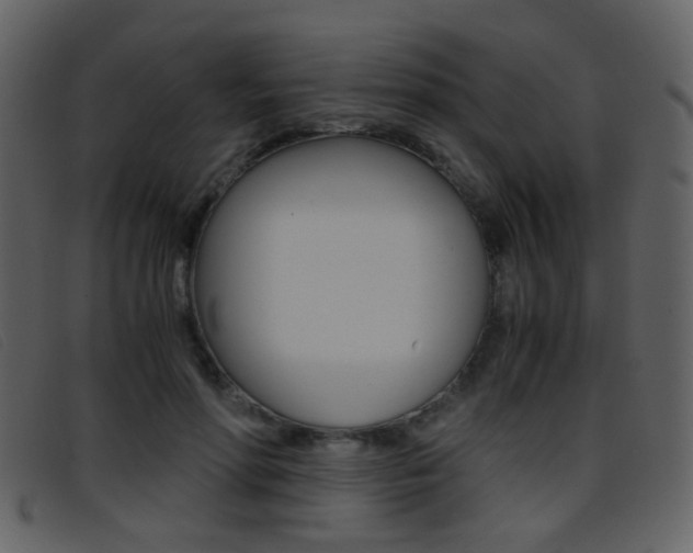 X0000096650598200802050935