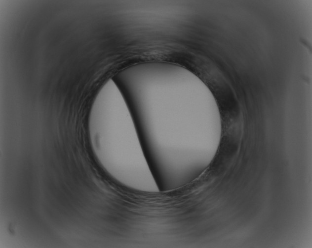 X0000096650599200802050935