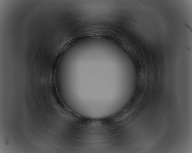 X0000096650600200802050935