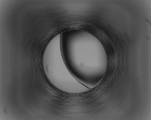 X0000096650601200802050935