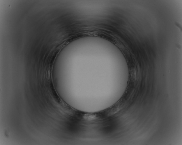 X0000096650602200802050935
