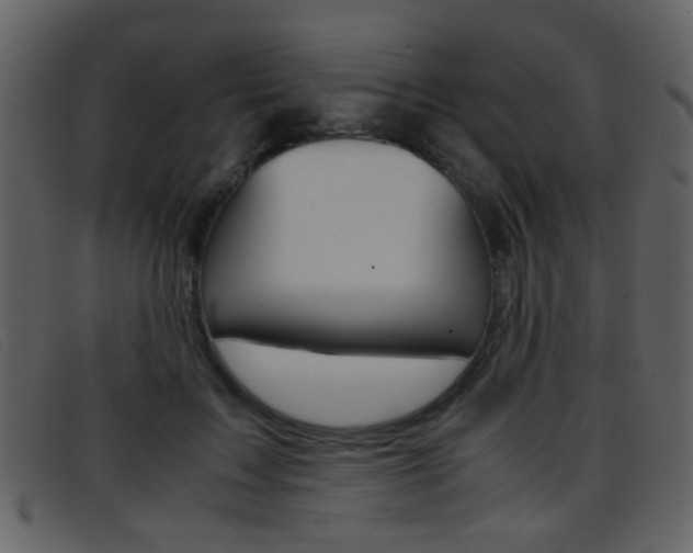 X0000096650603200802050935