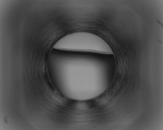 X0000096650604200802050935