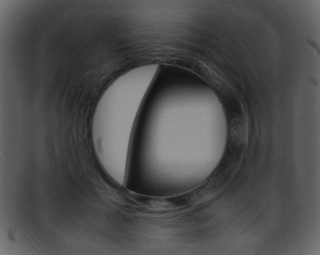 X0000096650605200802050935