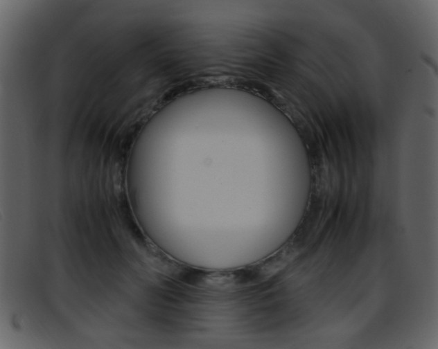 X0000096650606200802050935