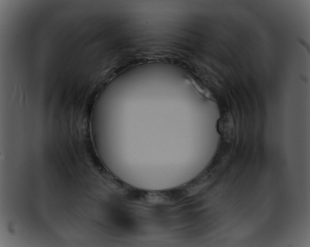 X0000096650608200802050935