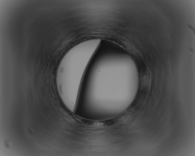 X0000096650609200802050935