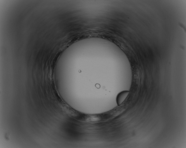 X0000096650610200802050935