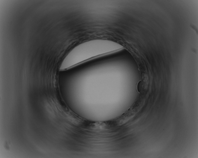 X0000096650612200802050935