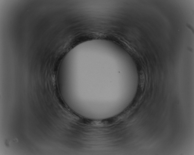 X0000096650613200802050935