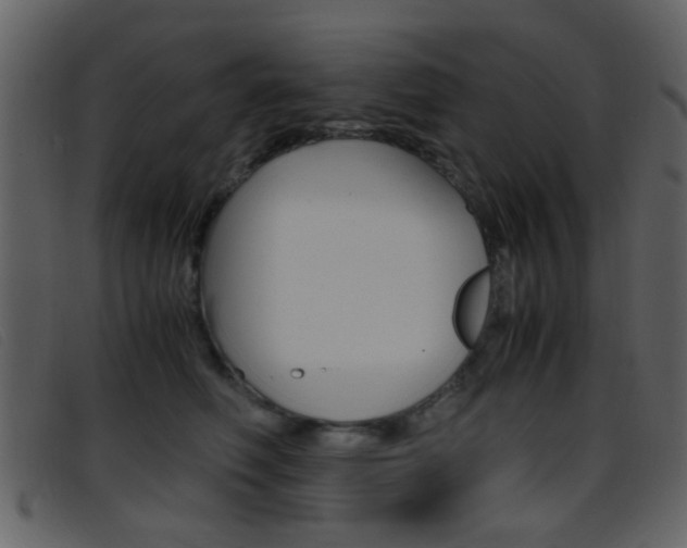 X0000096650614200802050935