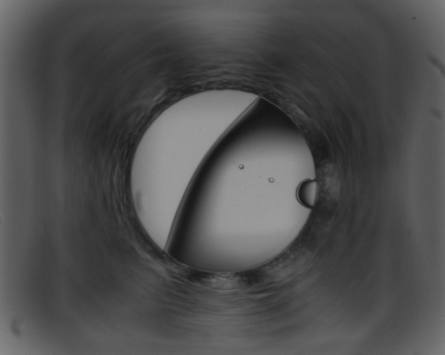 X0000096650615200802050935