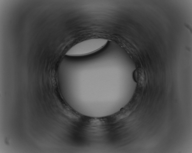 X0000096650616200802050935