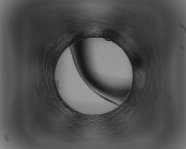 X0000096650617200802050935